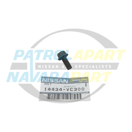 Genuine Nissan EGR Pipe to Manifold Bolt - Nissan Patrol Y61 GU ZD30