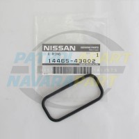 Genuine Nissan Thermostat Housing O-Ring - Nissan Patrol Y60 GQ Y61 GU TD42