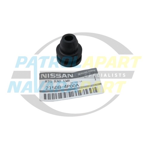 Genuine Nissan Radiator Mounting Rubber Lower - Nissan Patrol Y61 GU